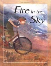 book cover of Fire in the Sky by Candice F. Ransom
