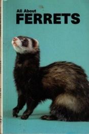 book cover of All About Ferrets by Mervin Roberts