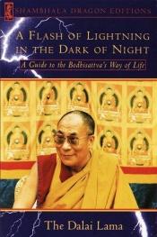 book cover of A Flash of Lightning in the Dark of Night: A Guide to the Bodhisattva's Way of Life (Shambhala Dragon Editions) by Δαλάι Λάμα