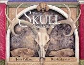 book cover of Skull Alphabet Book by Jerry Pallotta