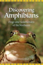 book cover of Discovering Amphibians: Frogs And Salamanders of the Northeast by John Himmelman