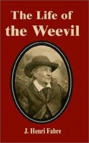 book cover of The life of the weevil by 让-亨利·法布尔