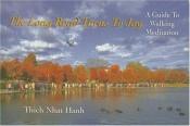 book cover of Varje steg väcker vinden : vägledning i meditativ gång by Thich Nhat Hanh