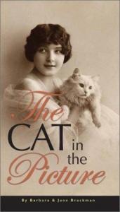 book cover of The Cat in the Picture by Barbara Brackman