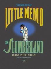 book cover of Little Nemo In Slumberland ¡Esos Esplendidos Domingos! by Winsor McCay