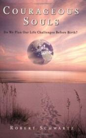 book cover of Your soul's plan : discovering the real meaning of the life you planned before you were born by Robert Schwartz