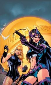 book cover of Birds of Prey: The Battle Within (Birds of Prey (Graphic Novels)) by Gail Simone