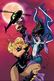 book cover of Bird's of Prey: Perfect Pitch by Gail Simone