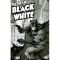 Batman: Black & White, Volume 1