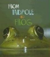 book cover of From Tadpole to Frog (Heinemann First Library) by Anita Ganeri