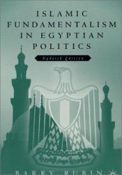 book cover of Islamic Fundamentalism in Egyptian Politics by Barry Rubin