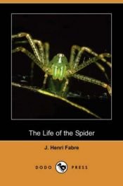 book cover of The Life of the Spider by ז'אן-אנרי פאבר