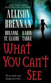 book cover of What You Can't See by Allison Brennan