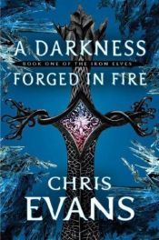 book cover of A Darkness Forged in Fire by Chris Evans