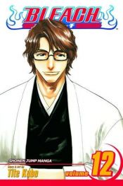 book cover of Bleach, V.12: Flower on a Precipice by 久保 帯人