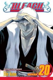 book cover of Bleach Vol 20 by 久保 帯人