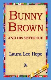 book cover of Bunny Brown and His Sister Sue by Laura Lee Hope