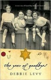 book cover of The year of goodbyes : a true story of friendship, family and farewells by Debbie Levy