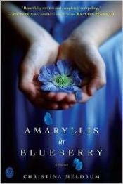 book cover of Amaryllis in blueberry by Christina Meldrum