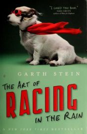 book cover of The Art of Racing in the Rain by Garth Stein