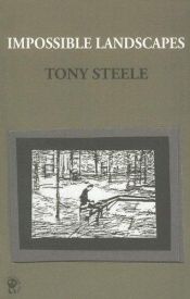 book cover of Impossible Landscapes by Tony Steele