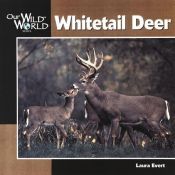 book cover of Whitetail Deer (Our Wild World Series) by Laura Evert