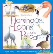 book cover of Flamingos Loons & Pelicans (Take Along Guide) by Mel Boring