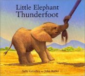 book cover of Little Elephant Thunderfoot by Sally Grindley