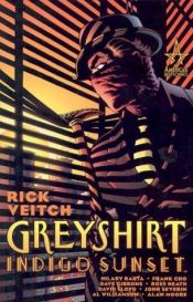 book cover of Greyshirt: Indigo Sunset by Rick Veitch