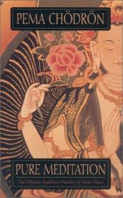 book cover of Pure Meditation (v. 3) by Pema Chödrön