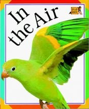 book cover of In the Air (Paperback Big Pictures) by DK Publishing