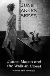 book cover of James Mason and the Walk-In Closet by June Akers Seese