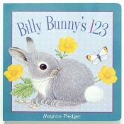 book cover of Billy Bunny's 123 by Maurice Pledger