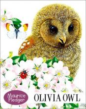 book cover of Olivia Owl Board Book by Maurice Pledger