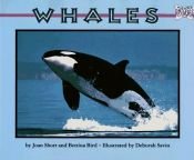 book cover of Whales (Mondo Animals) by Bettina Bird|Joan Short