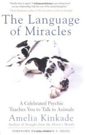 book cover of The language of miracles by Amelia Kinkade