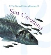 book cover of Sea Creatures by Barbara Taylor