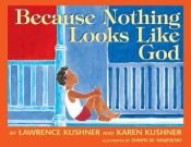 book cover of Because Nothing Looks Like God by Lawrence Kushner