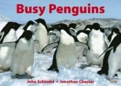 book cover of Busy penguins by John Schindel