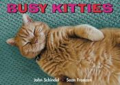 book cover of Busy Kitties by John Schindel