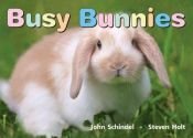 book cover of Busy Bunnies by John Schindel