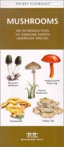 book cover of Mushrooms: An Introduction to Familiar North American Species (North American Nature Guides) by James Kavanagh