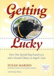 book cover of Getting Lucky: How One Special Dog Found Love and a Second Chance at Angel's Gate by Susan Marino