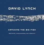 book cover of Catching the big fish : meditaatio, tietoisuus ja luovuus by David Lynch