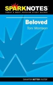 book cover of Spark Notes Beloved by Toni Morrisonová