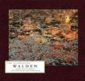 book cover of The illuminated Walden : in the footsteps of Thoreau : excerpts from the book Walden, or, Life in the woods by ヘンリー・デイヴィッド・ソロー