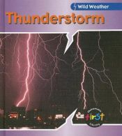 book cover of Thunderstorm by Catherine Chambers