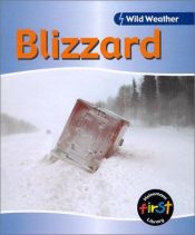book cover of Blizzard (Wild Weather) by Catherine Chambers