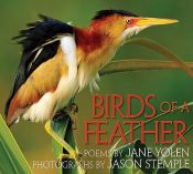 book cover of Birds of a Feather by Jane Yolen