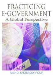 book cover of Practicing E-government: A Global Perspective by Mehdi Khosrow-Pour